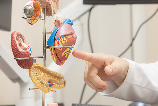 専門診療まで幅広く対応